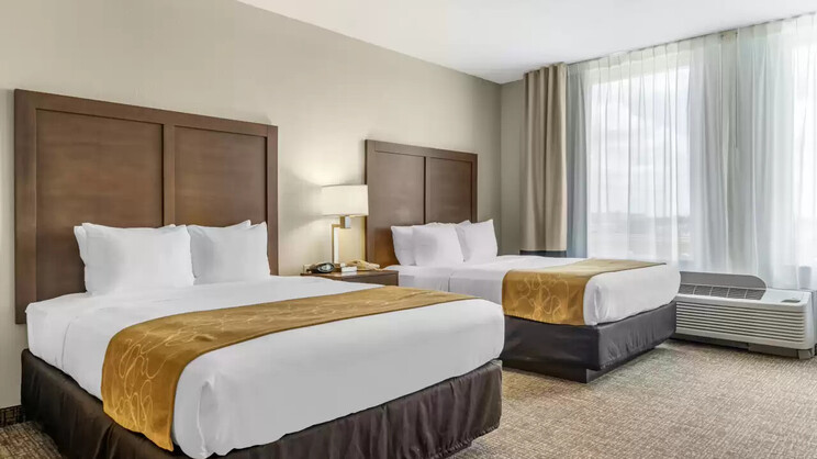 2 Queen Beds, 1 Room Suite